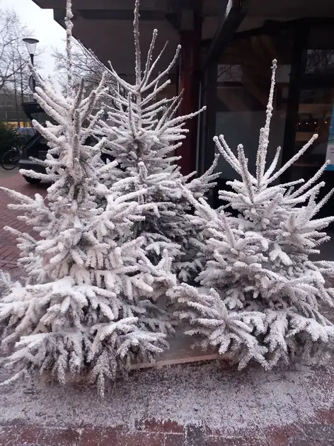 Zaterdag 13 december - Stichting Armslag Stadskanaal