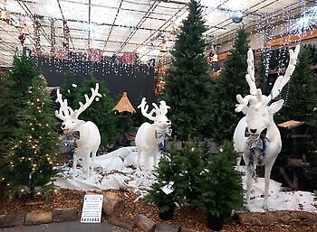 Kerst bij Boetiek Armslag Stichting Armslag Stadskanaal